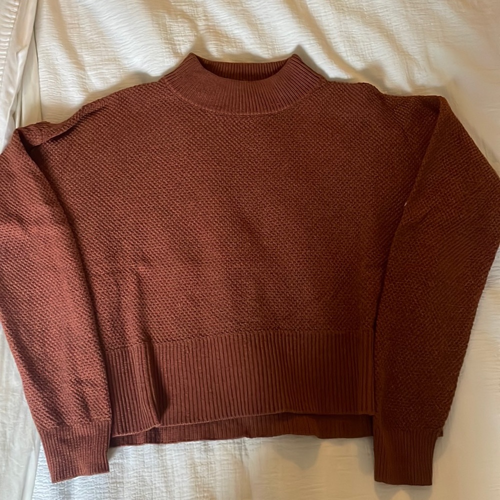 Rust ARITZIA Cropped Mock Neck sweater